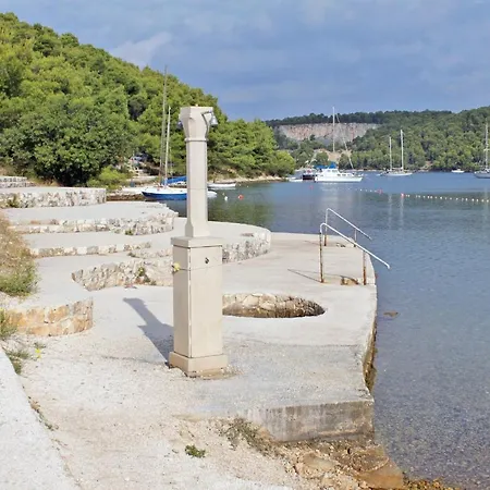 Apartment Apartments By The Sea Bobovisca Na Moru, Brac - 11883 Milna (Brac)